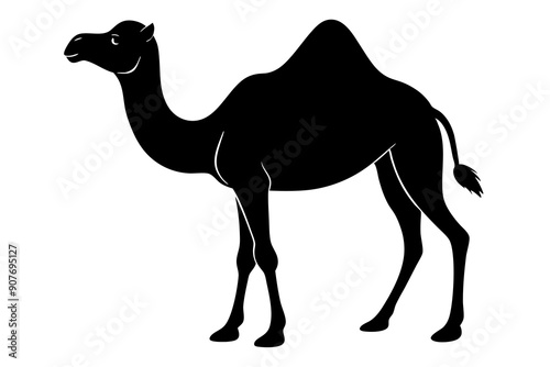 
camel vector silhouette, dromedary camel silhouette vector illustration