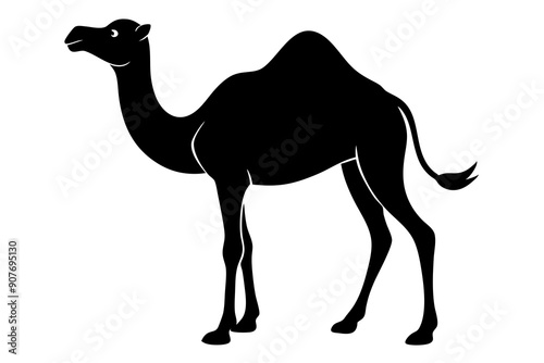 
camel vector silhouette, dromedary camel silhouette vector illustration