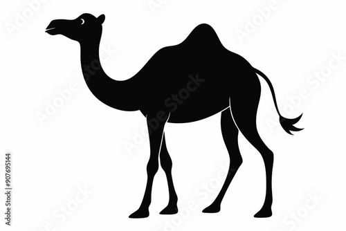 
camel vector silhouette, dromedary camel silhouette vector illustration