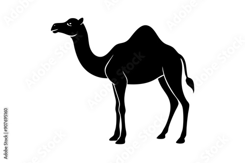 
camel vector silhouette, dromedary camel silhouette vector illustration