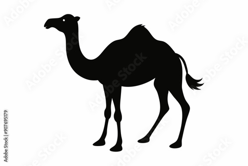 
camel vector silhouette, dromedary camel silhouette vector illustration