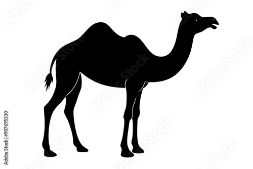 
camel vector silhouette, dromedary camel silhouette vector illustration