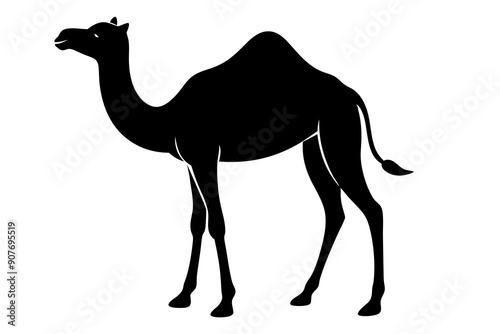 
camel vector silhouette, dromedary camel silhouette vector illustration