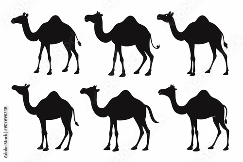 camel silhouettes, set of camel silhouettes vector 