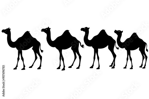 camel silhouettes, set of camel silhouettes vector 