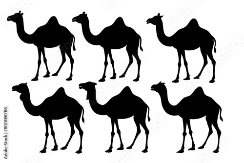 camel silhouettes, set of camel silhouettes vector 