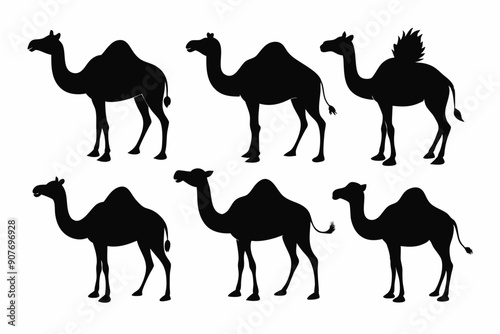 camel silhouettes, set of camel silhouettes vector 