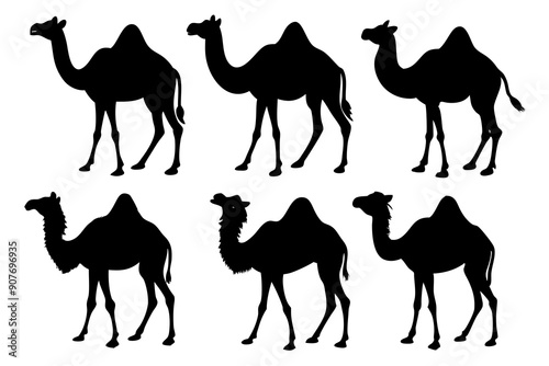 camel silhouettes, set of camel silhouettes vector 