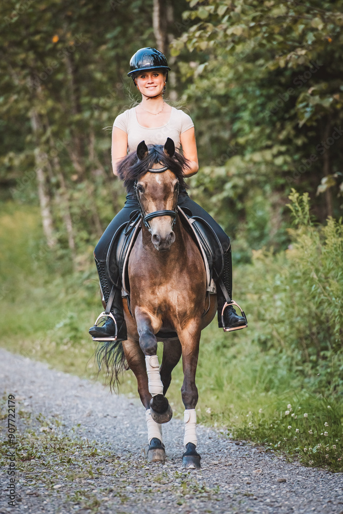 Reiterin mit Pferd im Gelände Reiterin mit Pferd im Gelände