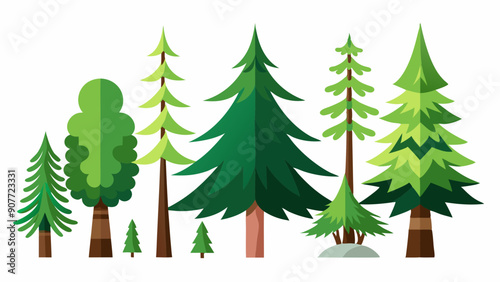 Fir Tree Silhouettes in Different Styles: Botanical and Floral Inspirations