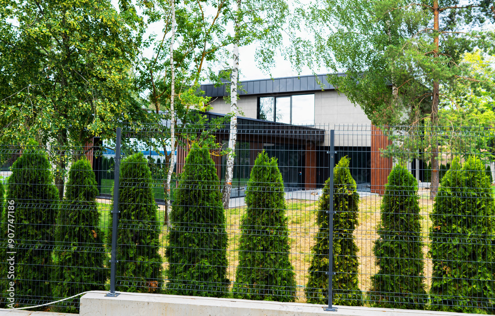 Landscape design for villa backyard garden. Firs in the garden. Conifer garden yard landscape design. Spruce fir tree, pine, dwarf pine in garden for landscape design at suburb house. Landscape design for villa backyard garden. Firs in the garden. Conifer garden yard landscape design. Spruce fir tree, pine, dwarf pine in garden for landscape design at suburb house.