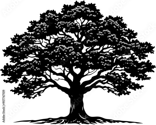 Detailed Old Oak Tree Botanical Art: Perfect for Nature Enthusiasts, Majestic Old Oak Tree.