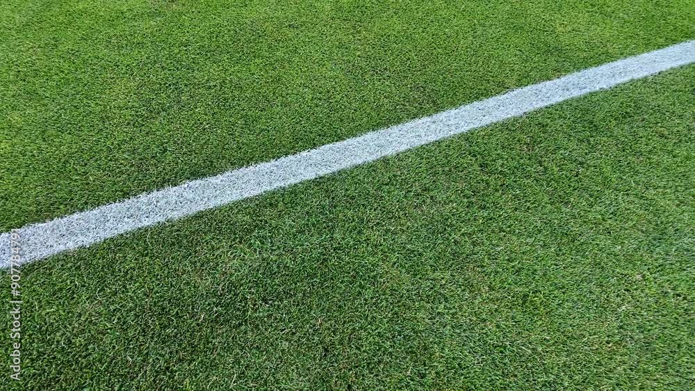 Soccer, football field grass. Close up of the line and grass on a soccer pitch. Soccer, football field grass. Close up of the line and grass on a soccer pitch.