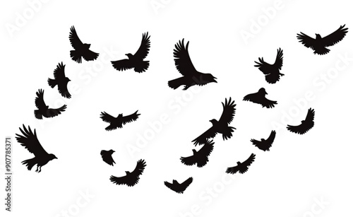  A flock of flying crows   isolated on transparent background.