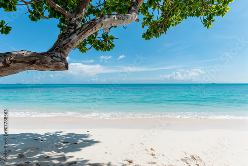 Idyllic tropical beach paradise with turquoise waters, white sand, and overhanging tree branch, perfect for relaxation and summer getaway under clear blue skies