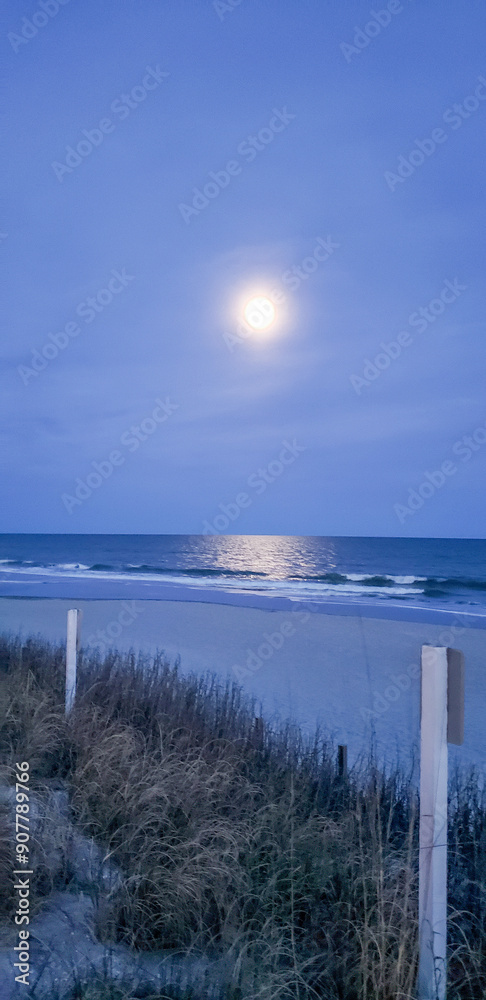 Obraz premium Myrtle Beach ocean moon