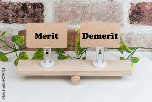 シーソーの上のmeritとdemerit
