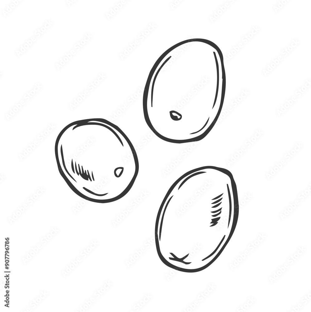 Olive hand drawn vector sketch in doodle style isolated on white background Olive hand drawn vector sketch in doodle style isolated on white background