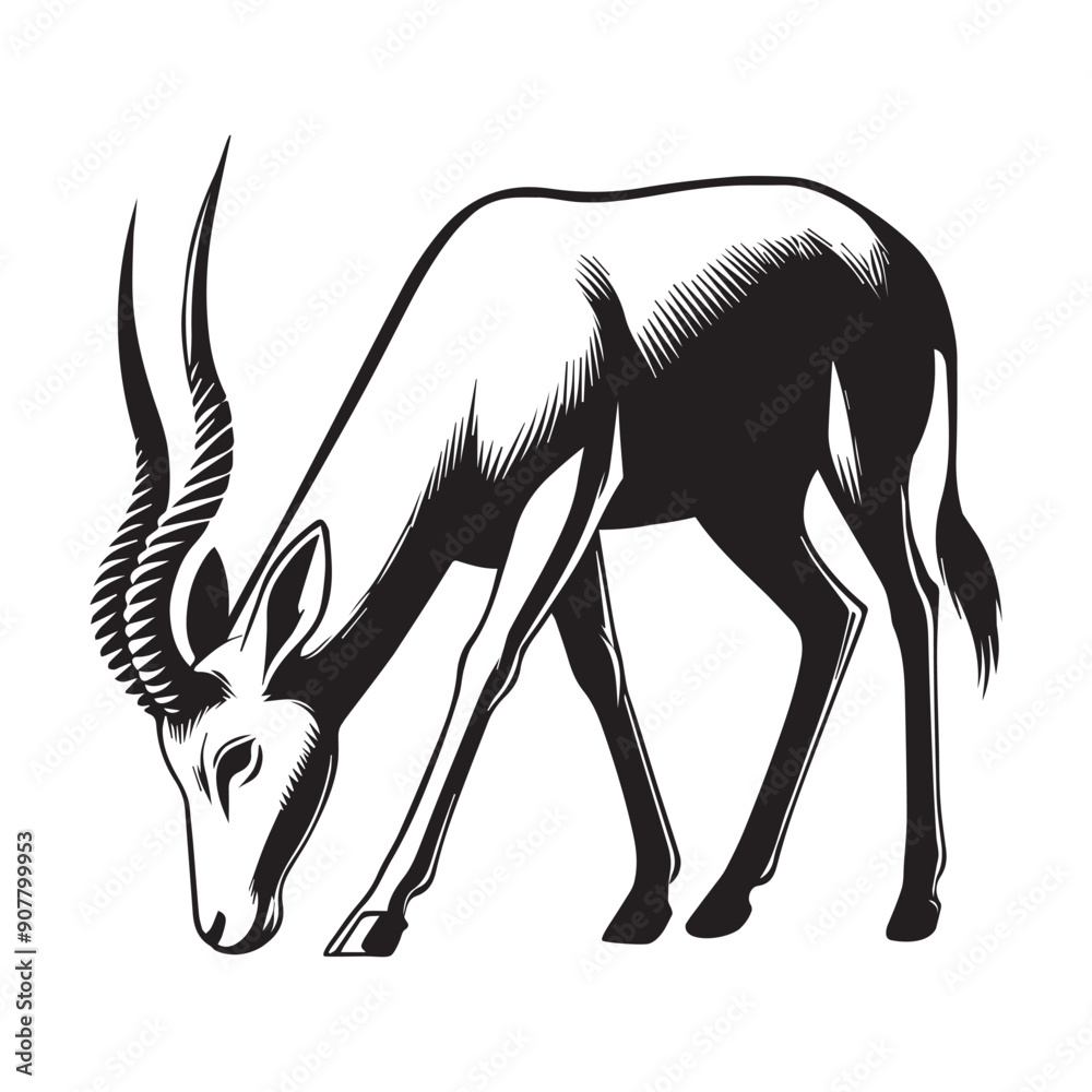 Arctic fox Clipart, White fox Outline Design, Snow fox illustration in