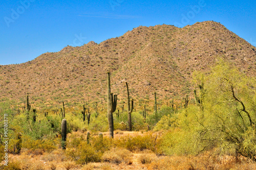 San Tan Mountains Sonora Desert Arizona