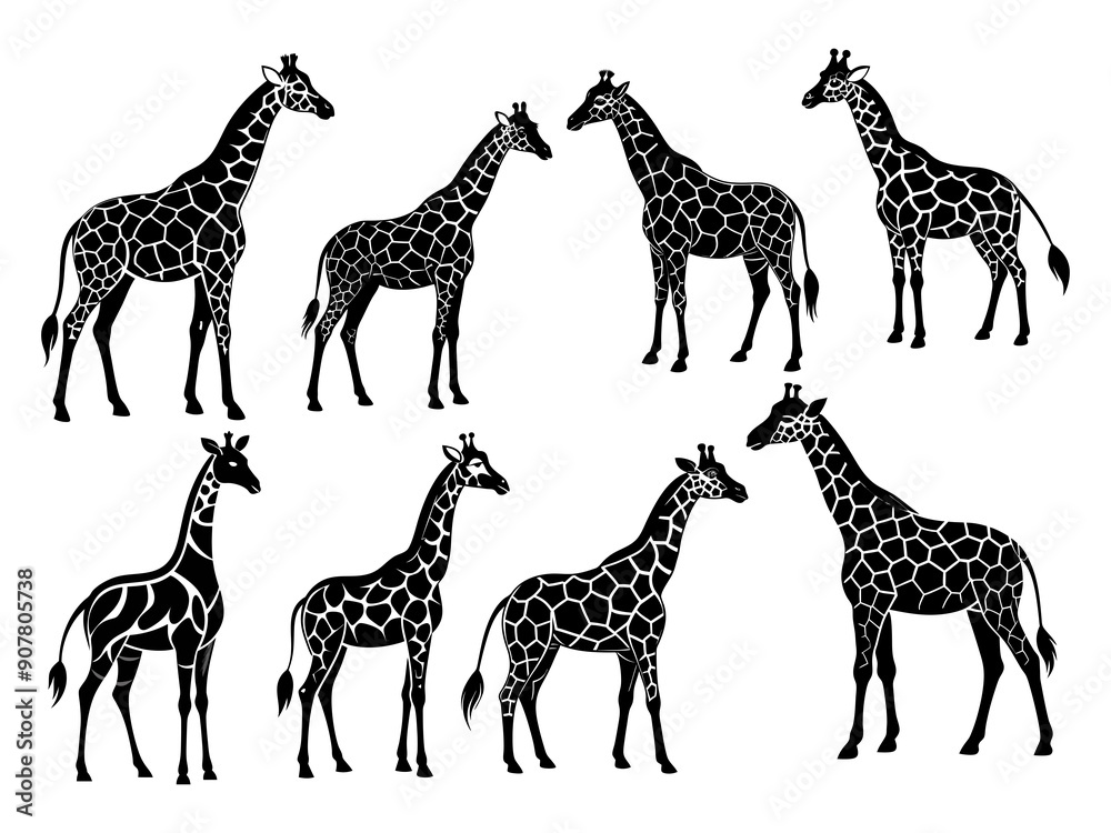 Obraz premium Giraffes Standing in Various Poses with Spotted Patterns, Black and White Vector Illustration