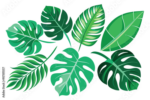 A Cluster of Green Tropical Leaves Isolated on White