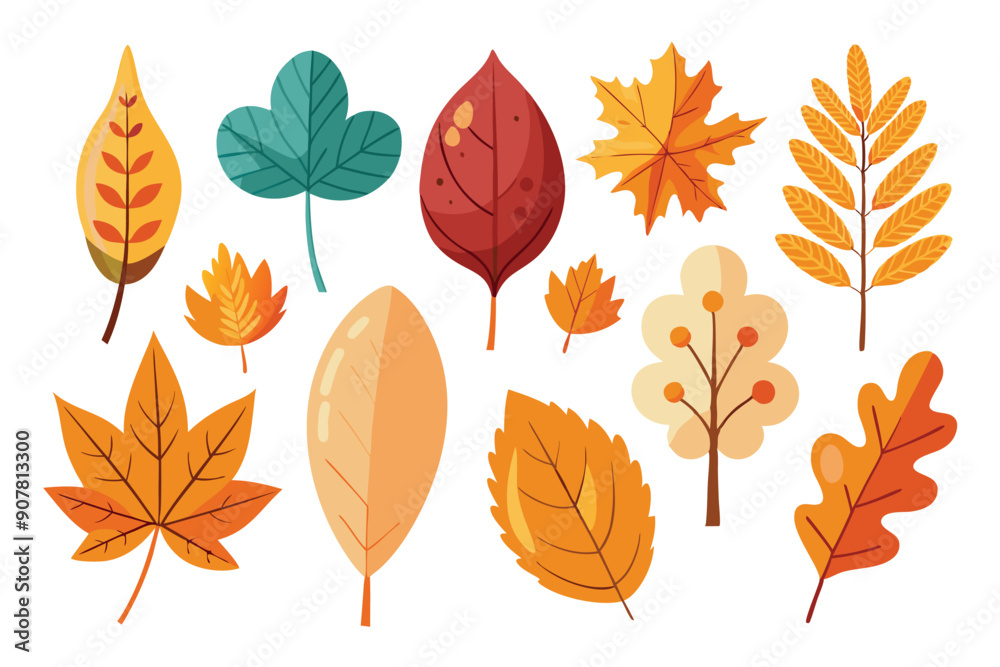Collection of Colorful Autumn Leaves and Branches Collection of Colorful Autumn Leaves and Branches