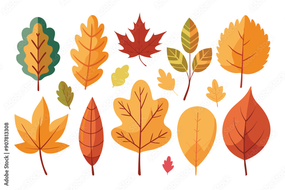 Collection of Autumn Leaves in Various Shapes and Colors Collection of Autumn Leaves in Various Shapes and Colors