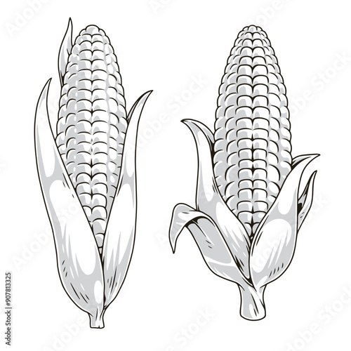 Corn cobs set stickers monochrome