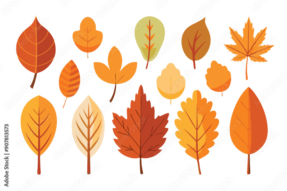 Collection of Autumn Leaves in Various Shapes and Colors