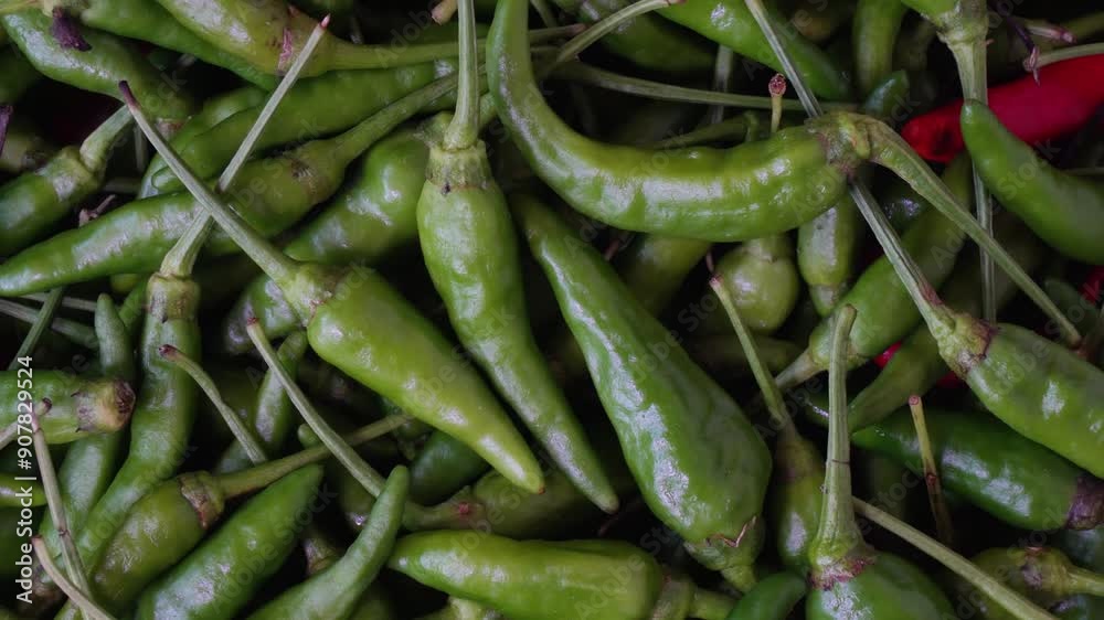 Rotating green chili. Pile of cayenne pepper close-up. Chilli vegetables background Rotating green chili. Pile of cayenne pepper close-up. Chilli vegetables background