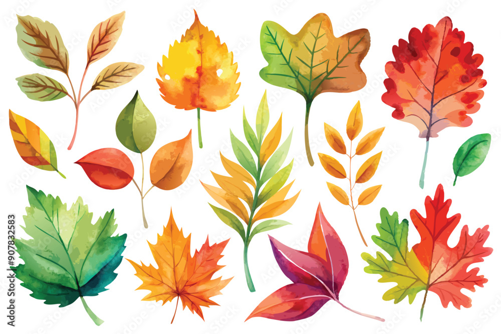 A Collection of Watercolor Autumn Leaves in Various Shapes and Colors A Collection of Watercolor Autumn Leaves in Various Shapes and Colors