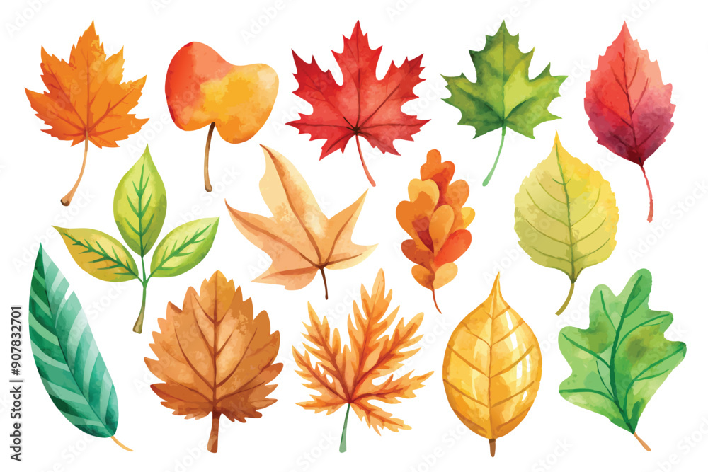 Obraz premium Watercolor Collection of Various Autumn Leaves