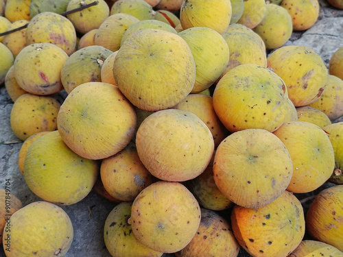 Ripe Santol or Sentul fruit in the natural garden.(Sandoricum koetjape). photo