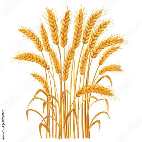 Golden wheat stalks sway gracefully isolated white background. Detailed ears full grains harvest autumnal symbol illustration. Agricultural botany artwork showcasing ripened crops ready reaping