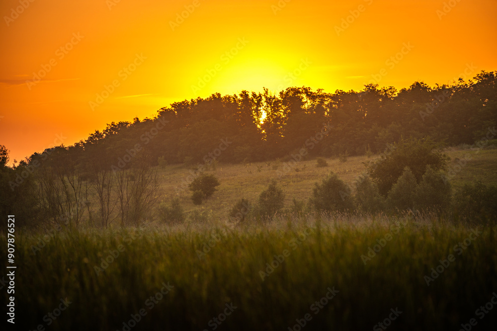 Morning on lake , sunrise over the forest , summer morning . Trees on beach . Landscape with golden sun and sky , golden hour , green grass. Nature in wild . Reed on river . Sunrise on a lake . Morning on lake , sunrise over the forest , summer morning . Trees on beach . Landscape with golden sun and sky , golden hour , green grass. Nature in wild . Reed on river . Sunrise on a lake .