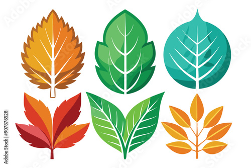 Colorful Flat Style Leaf Illustrations
