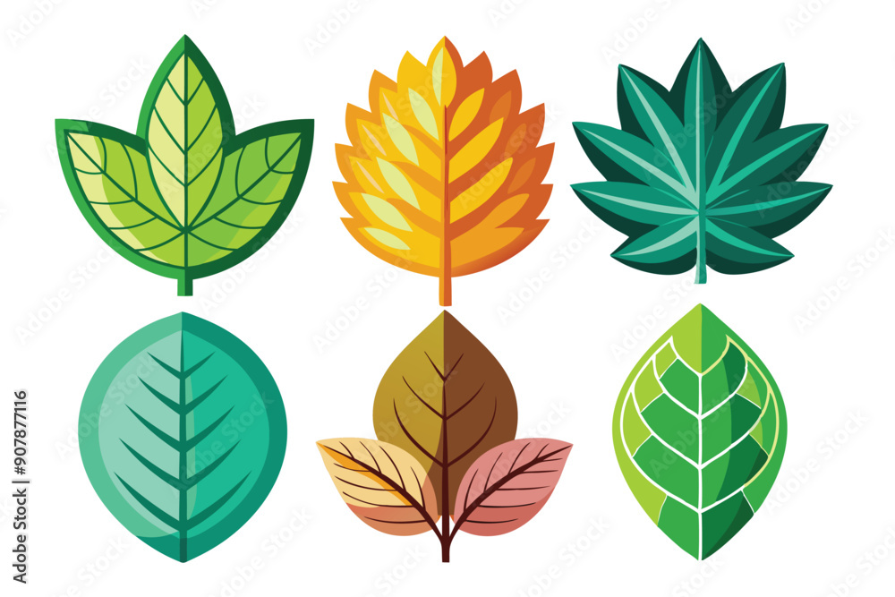 Obraz premium Colorful and Detailed Leaf Shapes, Isolated on White