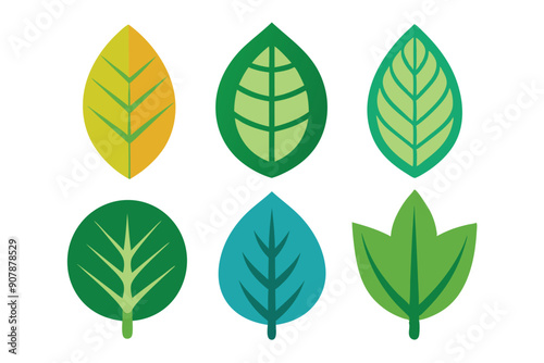 Six Flat-Colored Simple Leaf Illustrations