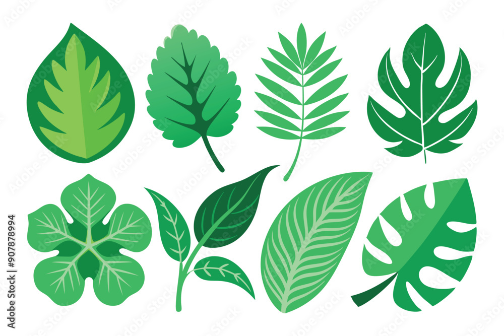 A Collection of Green Leaves in Various Shapes and Sizes A Collection of Green Leaves in Various Shapes and Sizes