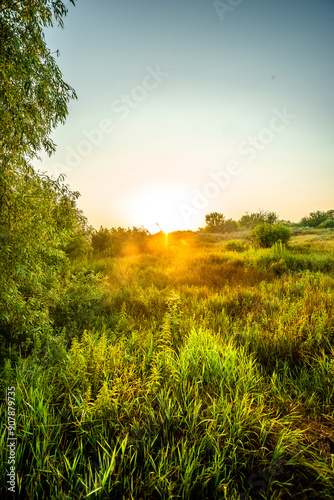 Sunrise over the river , trees and grass , golden hour in forest , summer morning . Sun over the woods , trees on the beach . Golden sun . Fog on a river . Morning landscape 