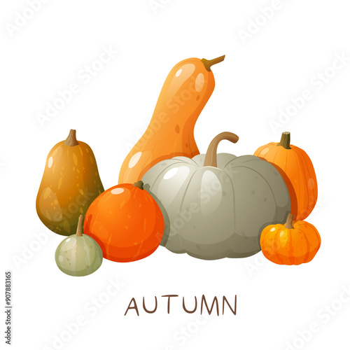 Autumn seasonal poster with pumpkin harvest different types and colors with lettering on white background.
