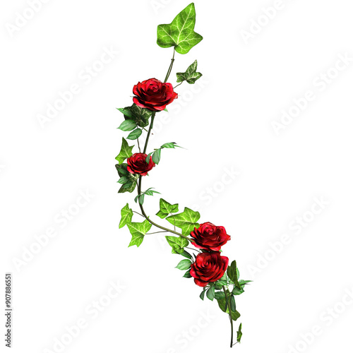 3D rendered ivy illustration with red roses isolated on transparent background
