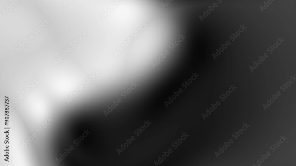 white and black gradient backdrop white and black gradient backdrop
