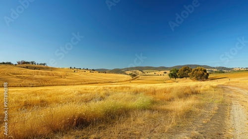 Podobny obraz