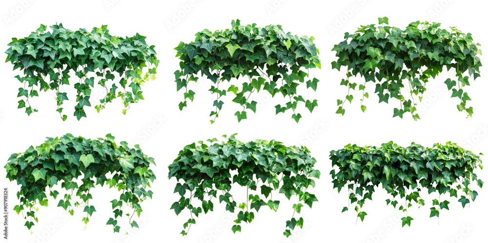 Vibrant green ivy drapes gracefully from a ledge, showcasing its lush foliage and creating a serene atmosphere in a well-lit space Vibrant green ivy drapes gracefully from a ledge, showcasing its lush foliage and creating a serene atmosphere in a well-lit space