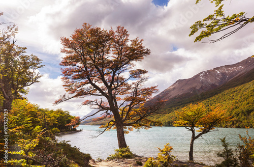 Fotografie Autumn in Patagonia