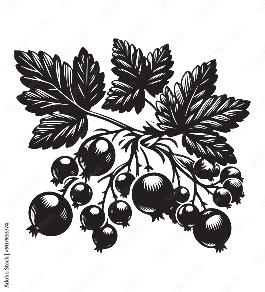 Obraz premium Blackcurrants fruit silhouette vector,black and white color