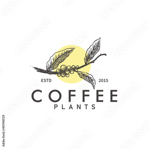 Coffee beans logo template for your creative projects and coffee  branding. Isolated graphic design template, vintage hand drawn style with coffee plant illustration