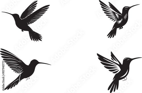 Fascinating Facts About Hummingbirds | Nature's Tiny Marvels